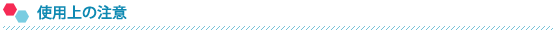�g�p��̒���