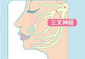 �摜�F�Ĕ��̂�����1